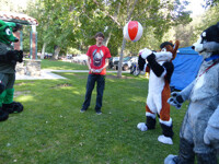 Begone ball, I cast thee out