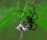 There's a spider on the ceiling… by Someone_is_a_furry -- Fur Affinity  [dot] net