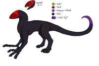 New Species