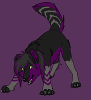 zwolfie commission