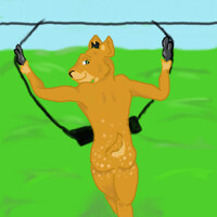 Swing