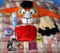 All Set For Confuzzled