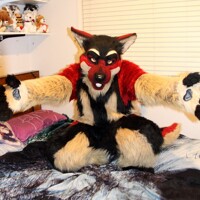 Sheppy wants cuddles 