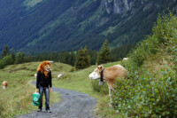 Lion Traveler - Alpes - !!!