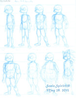 Build Sketches