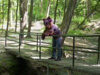 Wolf's bridge