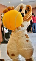 ScampY and ball