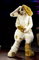 Scampy at the CFZ2013 Dance Competition