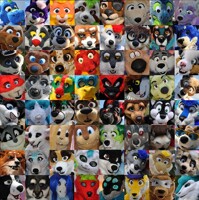 The Faces of Confuzzled 2013