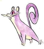 019 Rattata