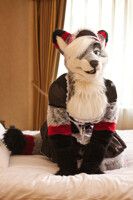 Fluff your pillow? (2)