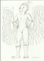 Phoenix force 