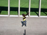 to fur or not to fur