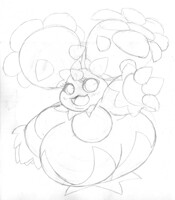 mostly water weight maractus