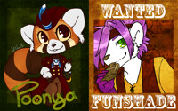 MFF Badge Examples