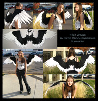 Felt Wings - 1st black and white