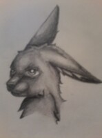 bunny sketch