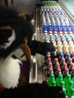 So many choices.... 