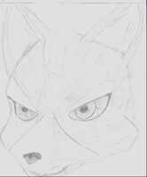 Resemblence of Fox Mcloud.