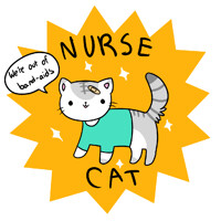 nurse cat