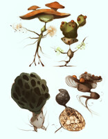 shrooms