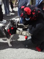 Art Festival pic 2