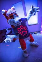 Glowin' Like a Dingo