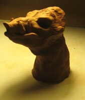 Boar Head