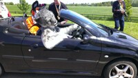 [CFz2013] Cosmo