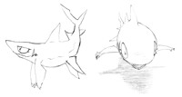 Shark