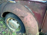  Dragonfly not in the sky