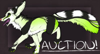 Green/Black Fox Auction! - CLOSED