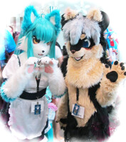 ax2013