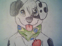 spotted tradicional art