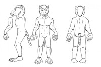 Phenal Reference Sheet