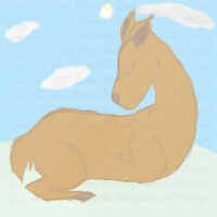DOE DUCK ADOPTABLE