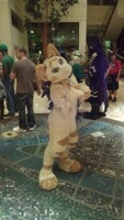 Anthrocon Pics #2