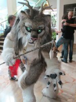 Spottacus  On The Loose