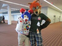 Toki and Pepper Coyote