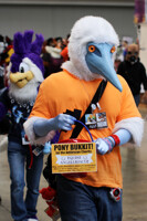 AC 2013 - Boobies get donations