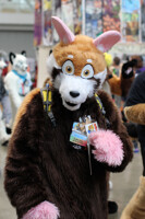 AC 2013 - Daniel Skirtandzy