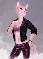 kitty cat
