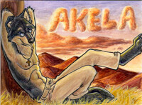 Akela Badge