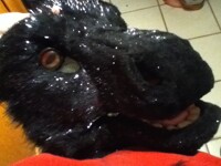 After Some Shaving -- My Fursuit Head