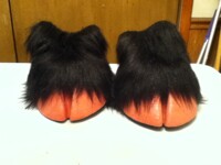 Hooves!!! They're Done!
