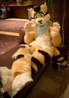 Lounging in the Westin Lobby