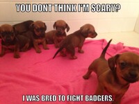 Weiner Meme #2