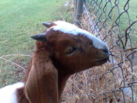 This is sooooo GOOD!