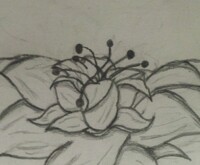 Flower 2