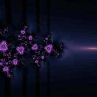 Black Flowers